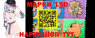 дмт Аргун