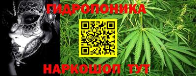 дмт Аргун