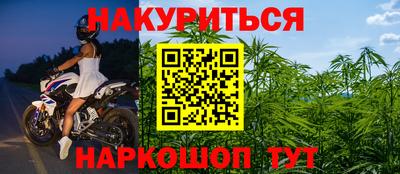дмт Аргун