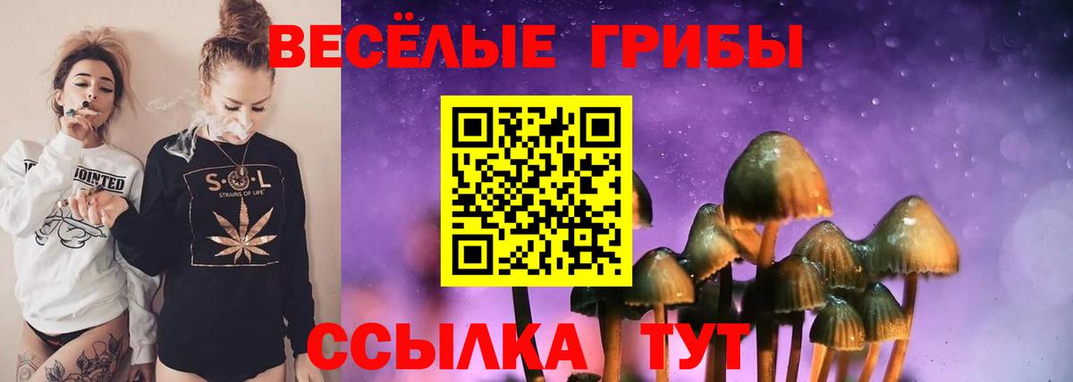 Владимир  Псилоцибиновые грибы прущие грибы  продажа наркотиков  Вход с VPN 