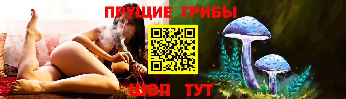 Галлюциногенные грибы Psilocybe Владимир